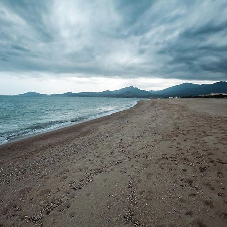 Studio Les Pieds Dans L'Eau Argeles Sur Mer 外观 照片