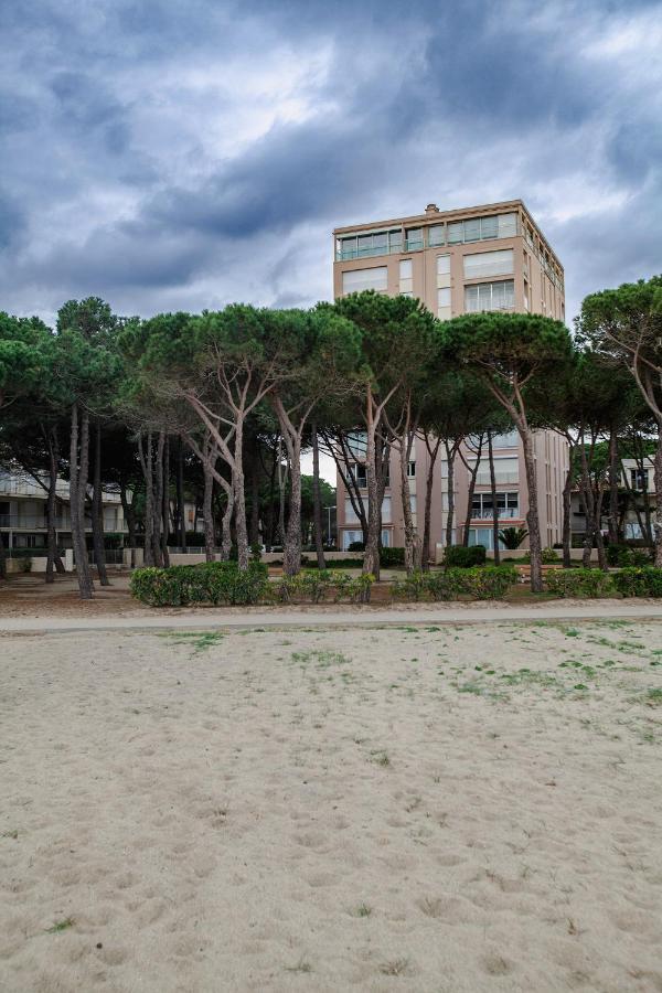 Studio Les Pieds Dans L'Eau Argeles Sur Mer 外观 照片
