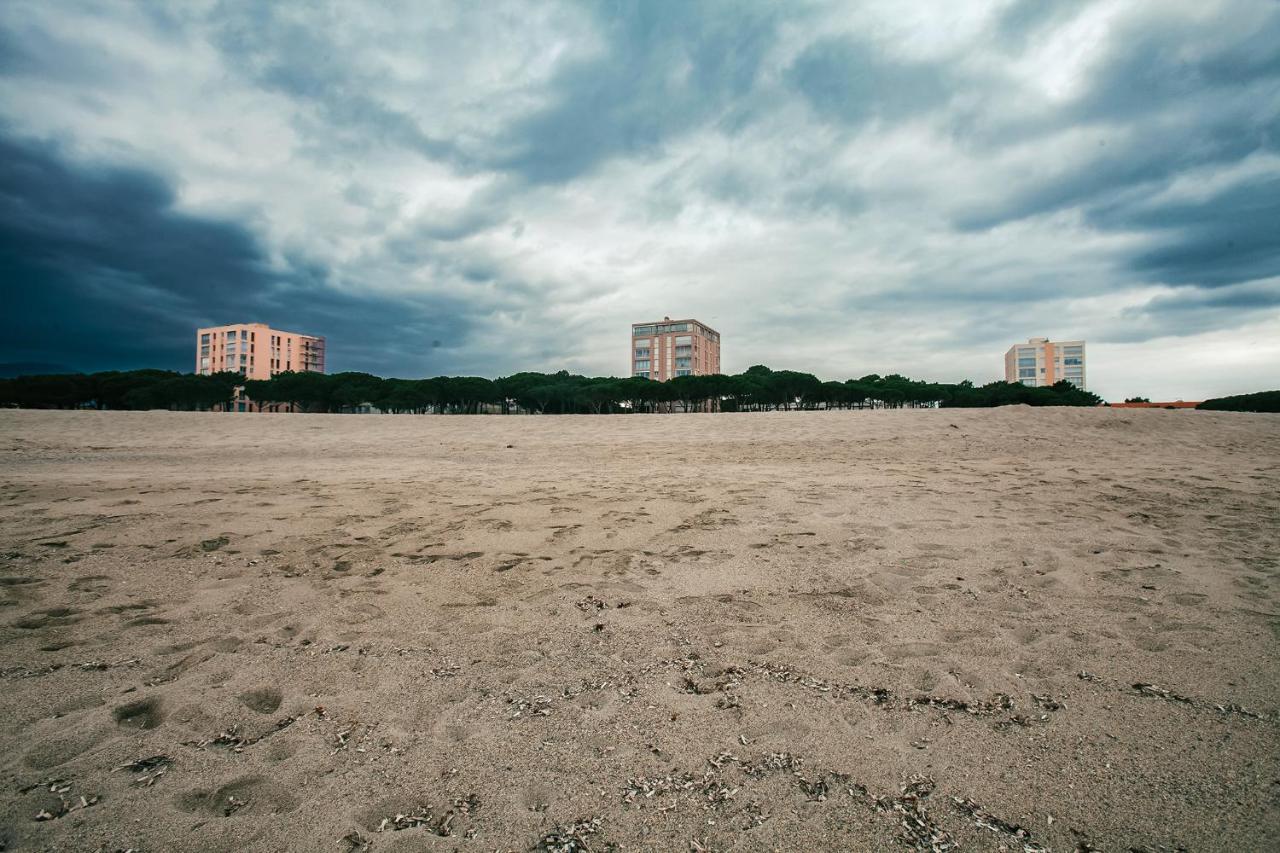 Studio Les Pieds Dans L'Eau Argeles Sur Mer 外观 照片