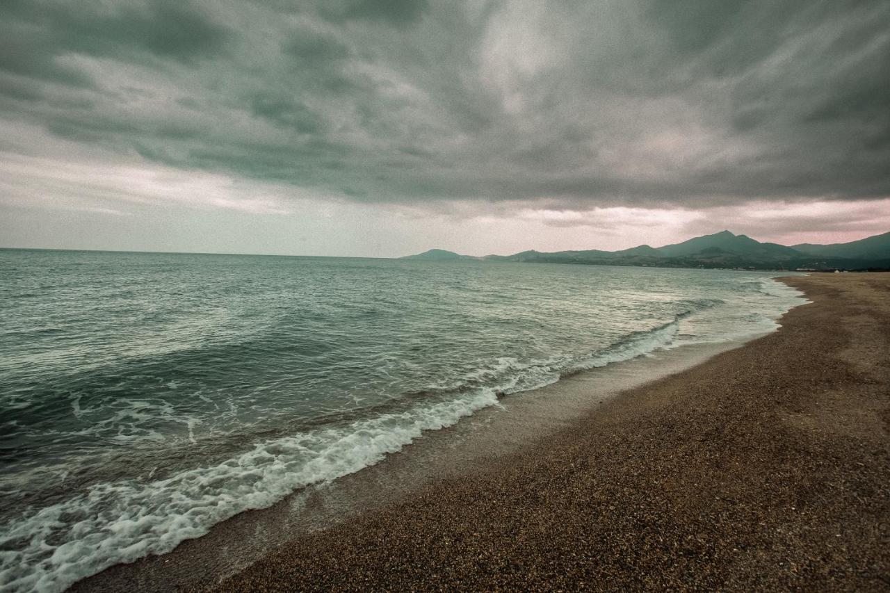 Studio Les Pieds Dans L'Eau Argeles Sur Mer 外观 照片